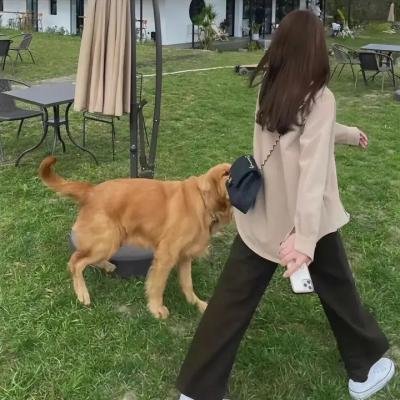 爱你就捧你